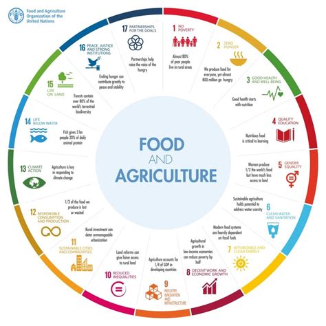 Sustainable Development Goals as an Infographic. Source:... | Download Scientific Diagram