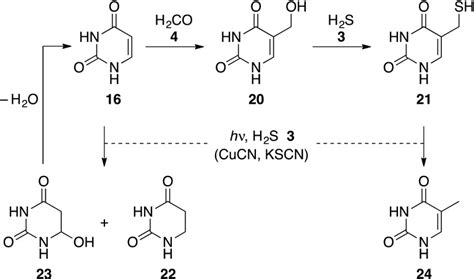 Chemistry of uracil 16 under the conditions of sugar synthesis | Download Scientific Diagram