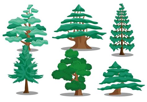 Cedar tree vectors - Download Free Vector Art, Stock Graphics & Images