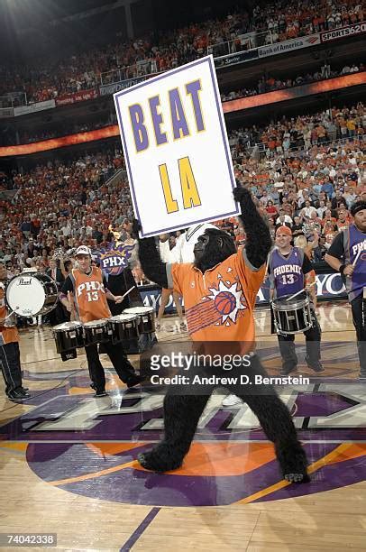 443 The Phoenix Suns Gorilla Photos & High Res Pictures - Getty Images