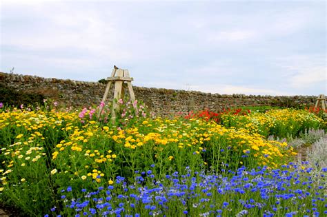 Castles of Northumberland. | mytravelbugbite