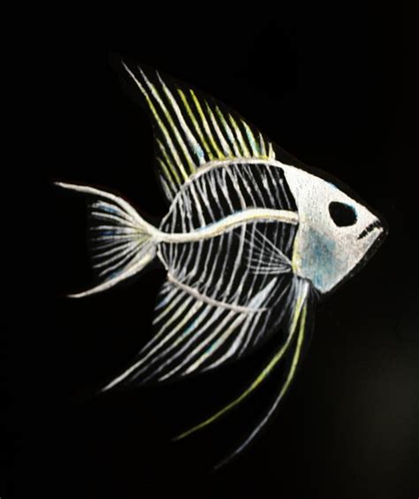 Fish skeleton. by Bridgette-art on DeviantArt