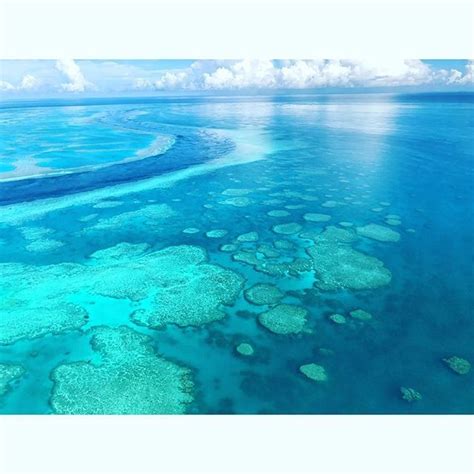 Hardy Reef is 13-km long and is spectacular. It has a lagoon that is suspended with 3 ...