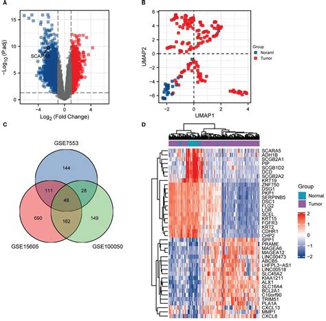 Frontiers | Decreased expression of SCARA5 predicts a poor prognosis in ...