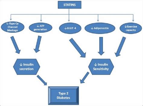 statin induced diabetes new onset and progression | Dr.S.Venkatesan MD