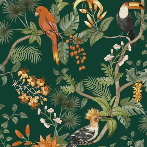 Birds of Paradise Wallpaper | West Elm