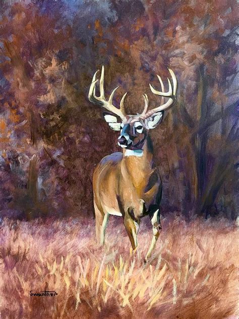 Whitetail Deer Buck Paintings