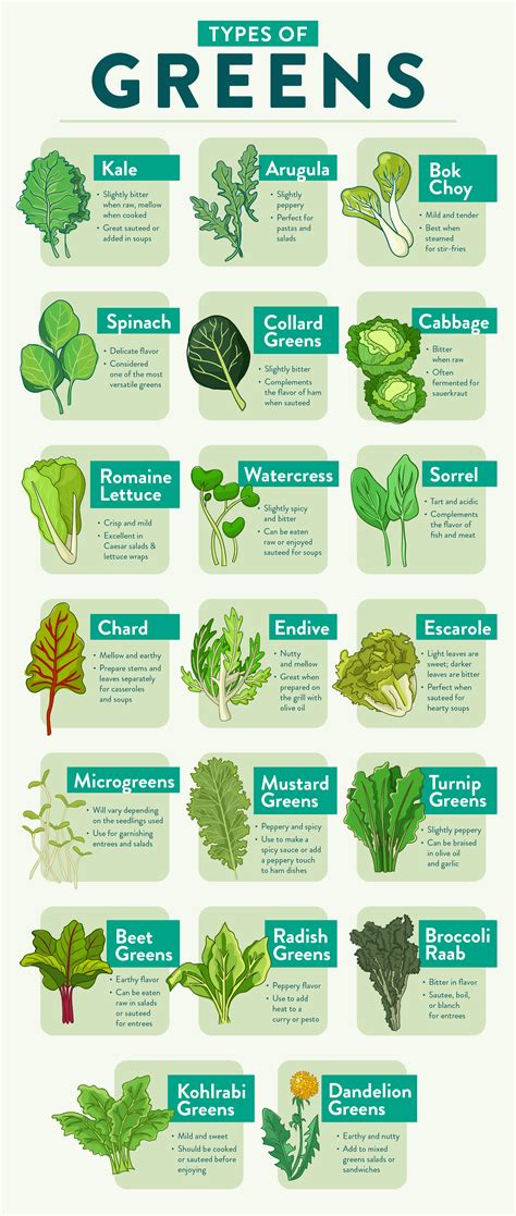 Different Types of Greens | Leaf vegetable, Greens, Vegetable recipes