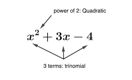 Quadratic Trinomial | Definition, Factorization & Examples - Video & Lesson Transcript | Study.com