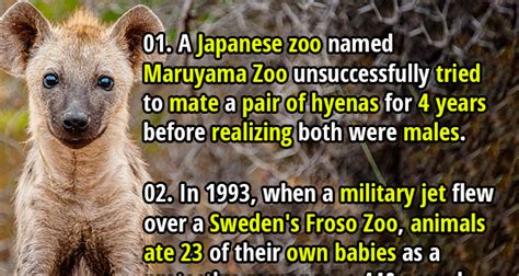 40 Adorable & Terrifying Facts about Zoo Animals - Fact Republic