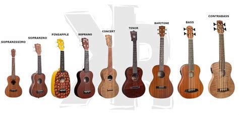 9 Ukulele Sizes: How To Choose The Right One - Killer Rig