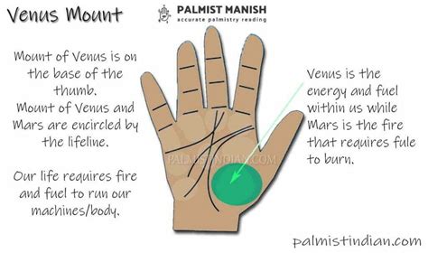 Mount of Venus in palmistry With Illustration | Palmist Manish