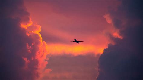 Download Gliding in the sky with a sleek and vibrant pink plane Wallpaper | Wallpapers.com