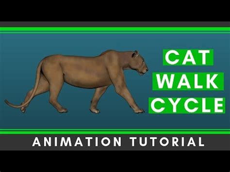 Cat Walk Cycle Animation Tutorial [Step by Step] - YouTube