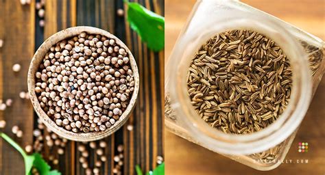 Coriander Vs Cumin- What's The Real Difference?