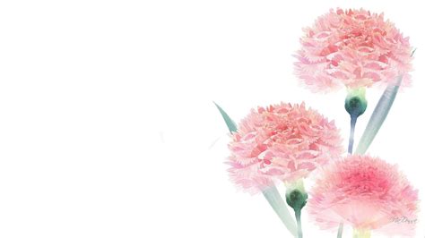 Simple Flower Desktop Wallpapers - Top Free Simple Flower Desktop Backgrounds - WallpaperA ...