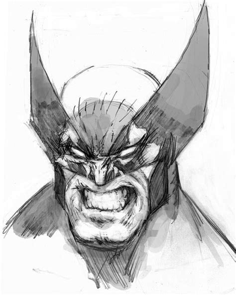 Top 78+ wolverine comic sketch latest - seven.edu.vn