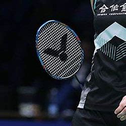 Tai Tzu Ying's Badminton racket | 360Badminton