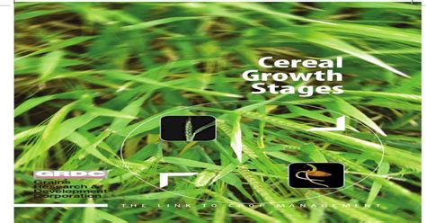 (PDF) GRDC Cereal Growth Stages - DOKUMEN.TIPS