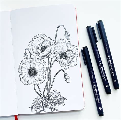 Poppy Flower Tutorial With MONO Drawing Pens - Tombow USA Blog