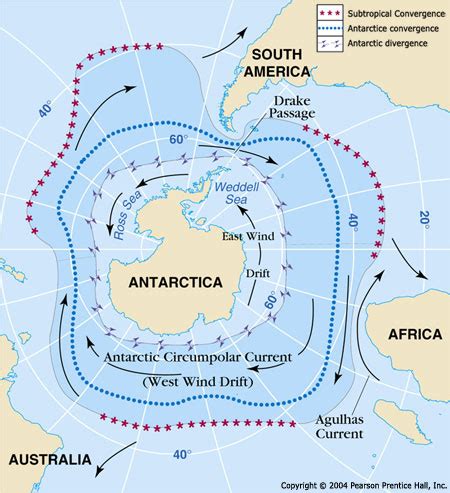 Antarctic: Ocean Circulation - Dive & Discover