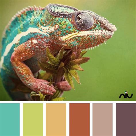 Chameleon Color Palette | Colores pantone, Paleta de color, Pantone