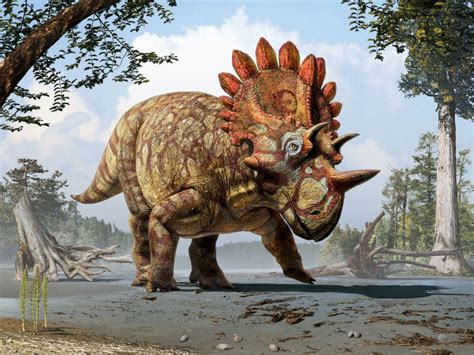 A Quick Guide About 12 Horned Dinosaurs (Not Triceratops) (2023)