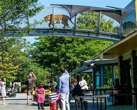 philadelphia on Twitter | Philadelphia zoo, Zoo, Visit philadelphia