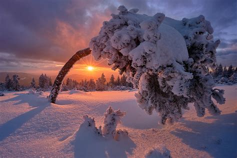 sunset, 1080P, winter, The black forest, Baden-Württemberg, Germany ...