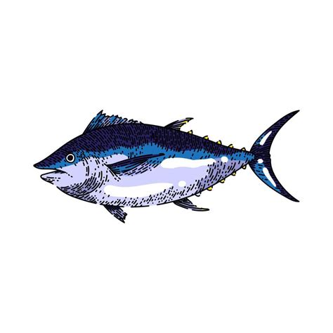 tuna fish sketch hand drawn vector 17418119 Vector Art at Vecteezy