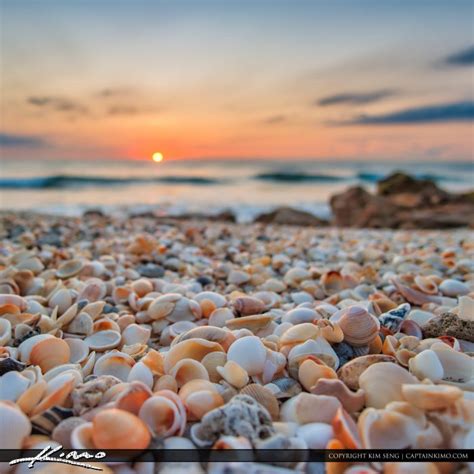 Sunrise with Shells at Beach | HDR Photography by Captain Kimo