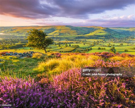 The Stunning Purple Landscape Of The Derbyshire Peak District At Sunrise Stock-Foto - Getty Images