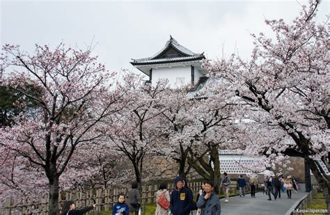 Kanazawa Castle - The Park Adorned With Sakura