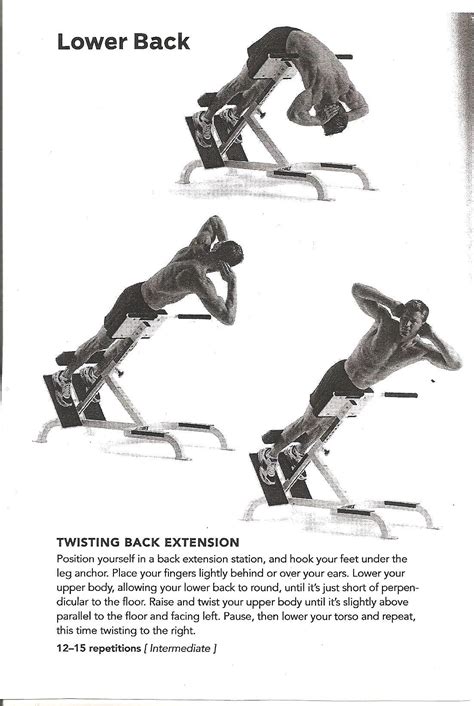 Twisting back extension | High intensity workout, Back exercises, Arm workout