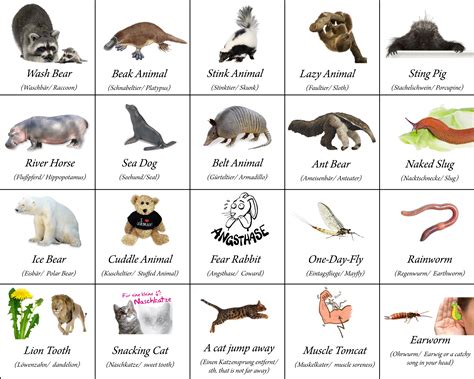 Animals directly translated from German by Arminius1871 on DeviantArt