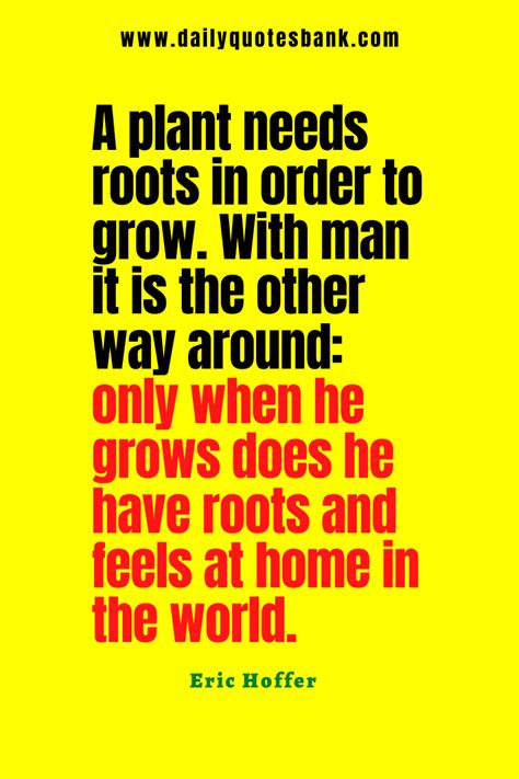 101 Roots Quotes That Will Help Always Remember Your Roots