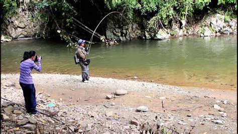 Memancing Ikan Kelah Di Sungai Apin-Apin - YouTube