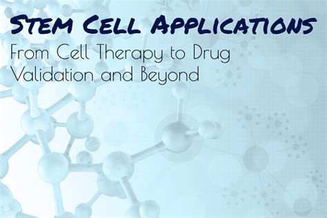 Stem Cell Applications - From Cell Therapy to Drug Development and Beyond