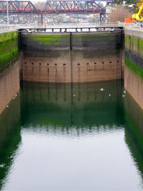 Friends of the Ballard Locks: November 2013