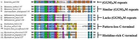 Frontiers | A Glimpse Into the Structure and Function of Atypical Type I Chaperonins