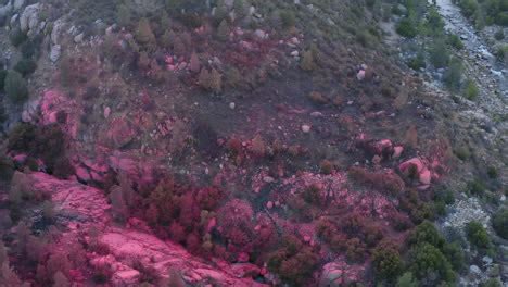 Red fire retardant chemicals dropped over California forest, wildfire prevention Free Stock ...