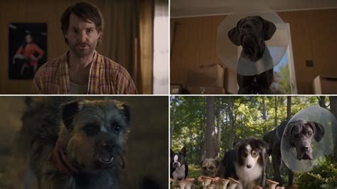 Strays Trailer: Will Ferrell Voices an Abandoned Dog Seeking Revenge Against Its Owner; Josh ...