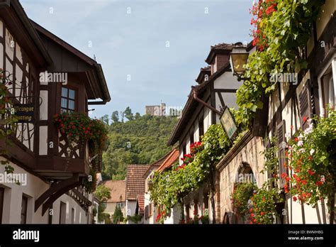 SCHLOSSSTRASSE, HAMBACH CASTLE, HAMBACH, NEAR NEUSTADT AN DER Stock Photo, Royalty Free Image ...