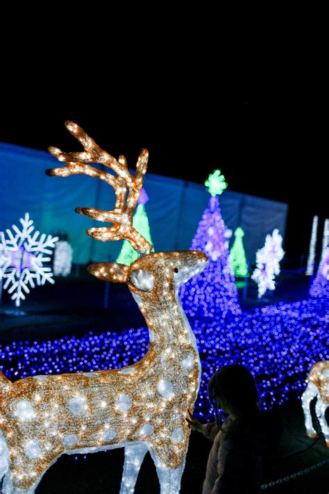 Instagram Guide to the Winter Wonderland Imaginarium Lights Show at the Cal Expo in Sacramento