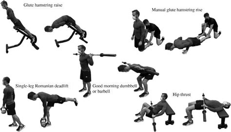 Eccentric Hamstring Exercises Pdf | EOUA Blog