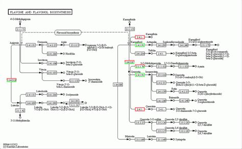 Flavone and Flavonol Biosynthesis pathway involved in Se-treated A ...