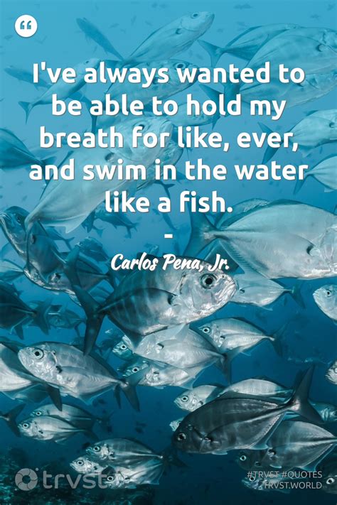 84 Fish Quotes & Sayings About Fish and Marine Life | Fishing quotes, Ocean pollution ...