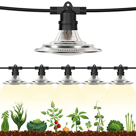 Best Led Grow Lights For Greenhouse: A Comprehensive Guide