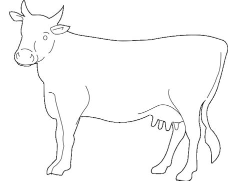 Cow Drawing Outline at PaintingValley.com | Explore collection of Cow ...