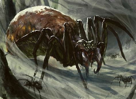 Magic the Gathering Art Vol 23 - SPIDERS | Monster art, Spider art, Shadow creatures | Monster ...